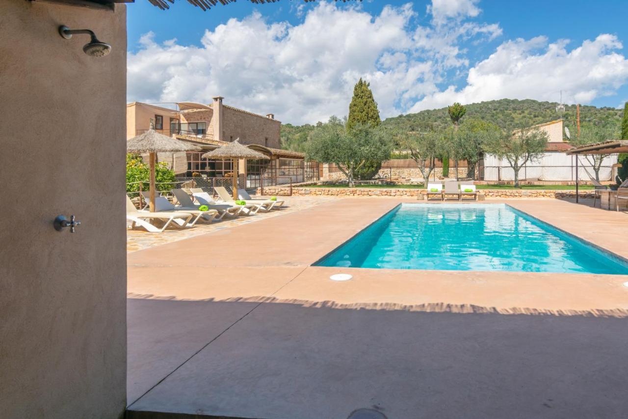 Prim 6 * Sant Llorenc Des Cardassar