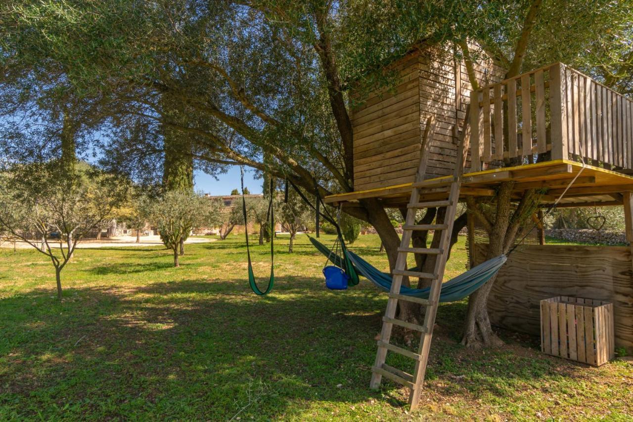 Prim 6 Sant Llorenc Des Cardassar