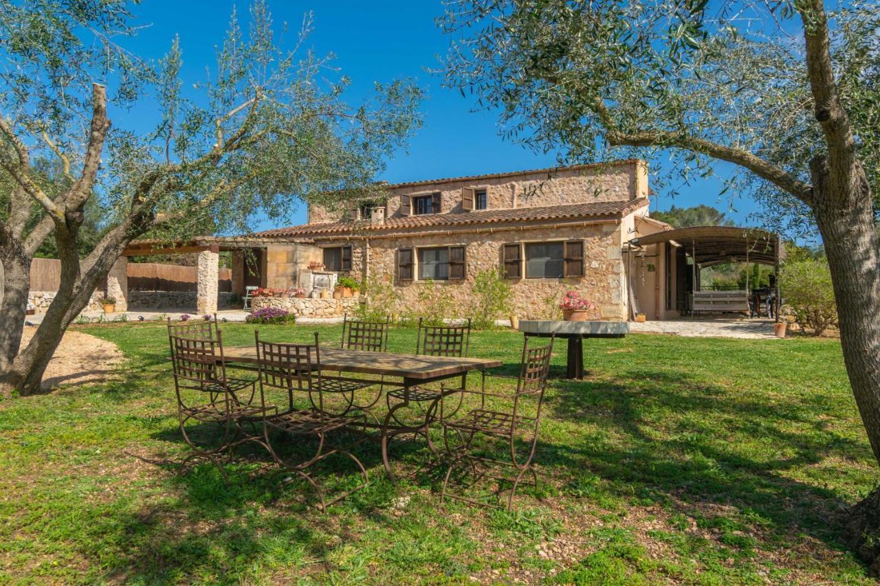 Prim 6 * Sant Llorenc Des Cardassar
