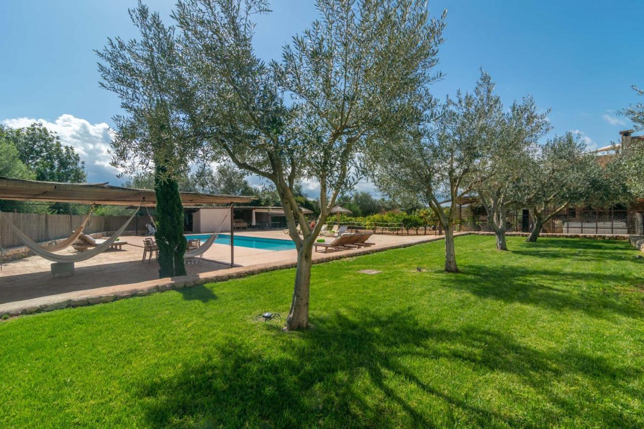 Prim 6 Villa *